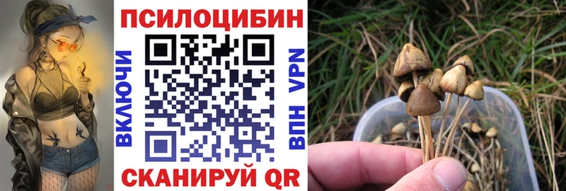 Купить где  Моршанск  Галлюциногенные грибы MAGIC MUSHROOMS 